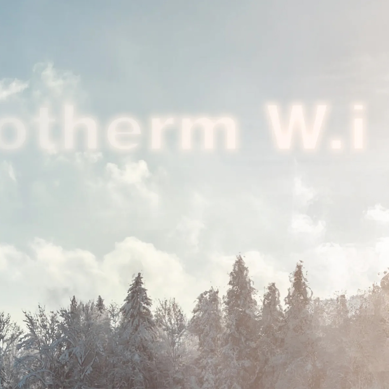 Porotherm W.i